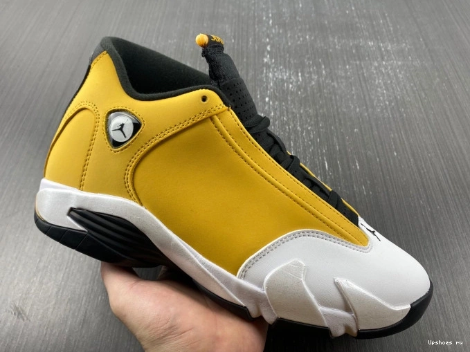 Light Retro 487471-701  Ginger Jordan 14 0930